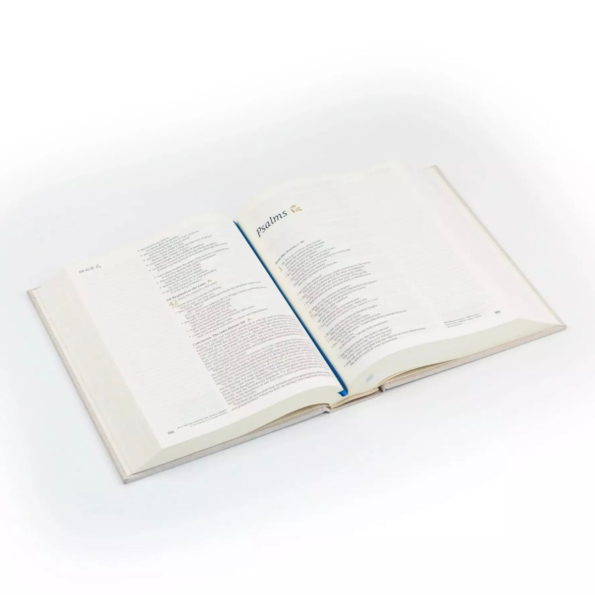 NLT Notetaking Bible - Adelaide image 4