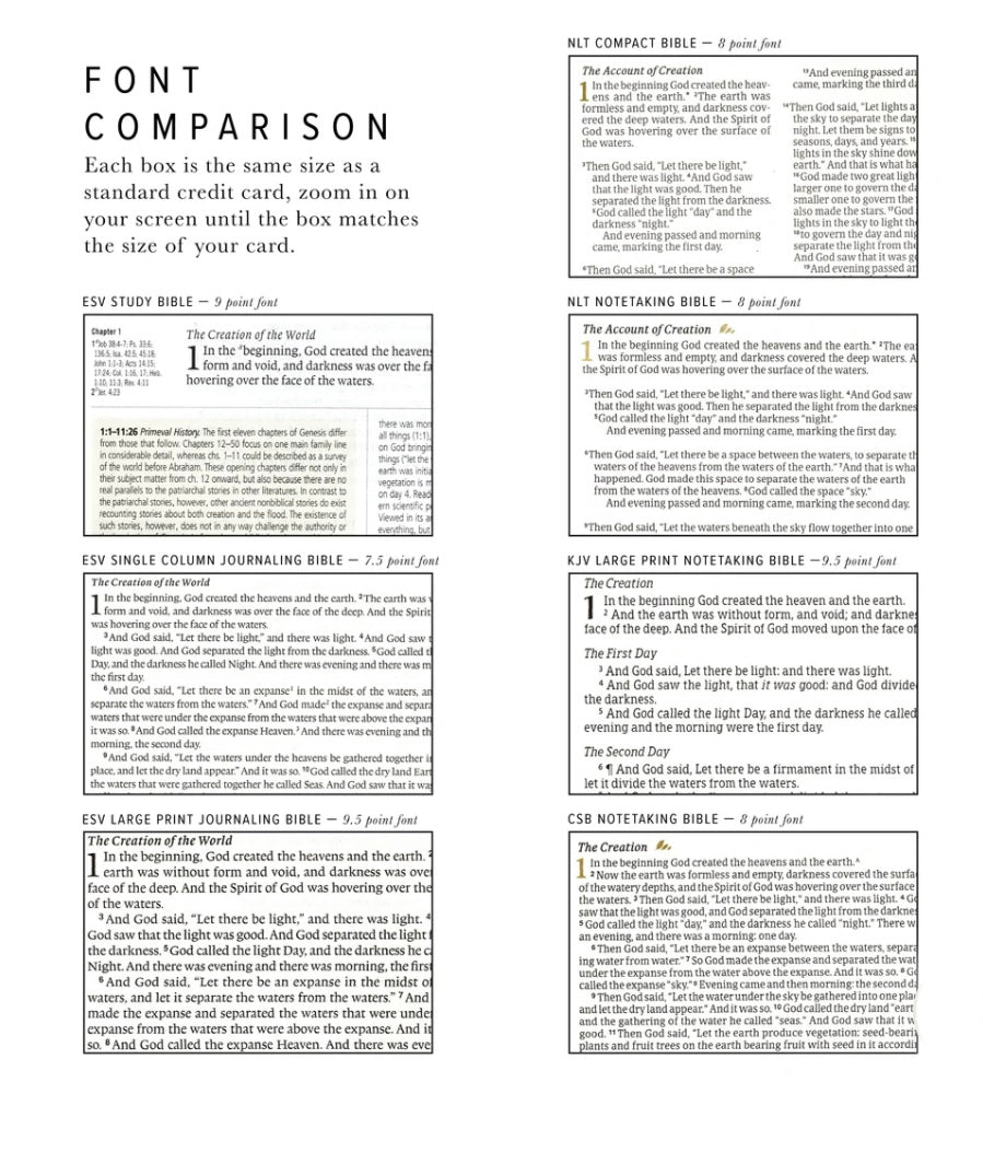 NLT Notetaking Bible - Cordova image 6