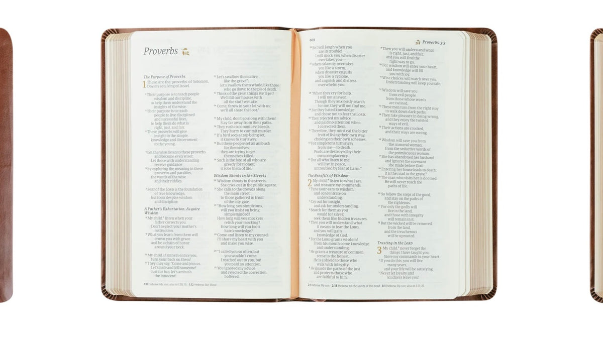 NLT Compact Bible - Aurora image 2