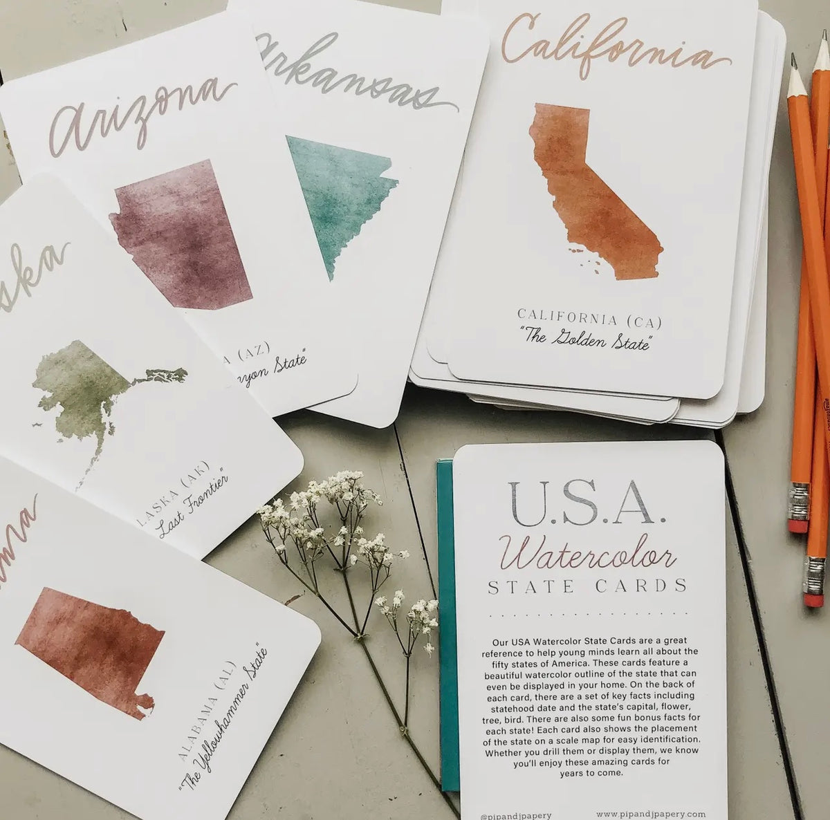 USA Watercolor State Cards image 4