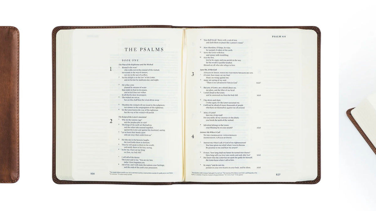 ESV Journaling Bible - Westminster image 6