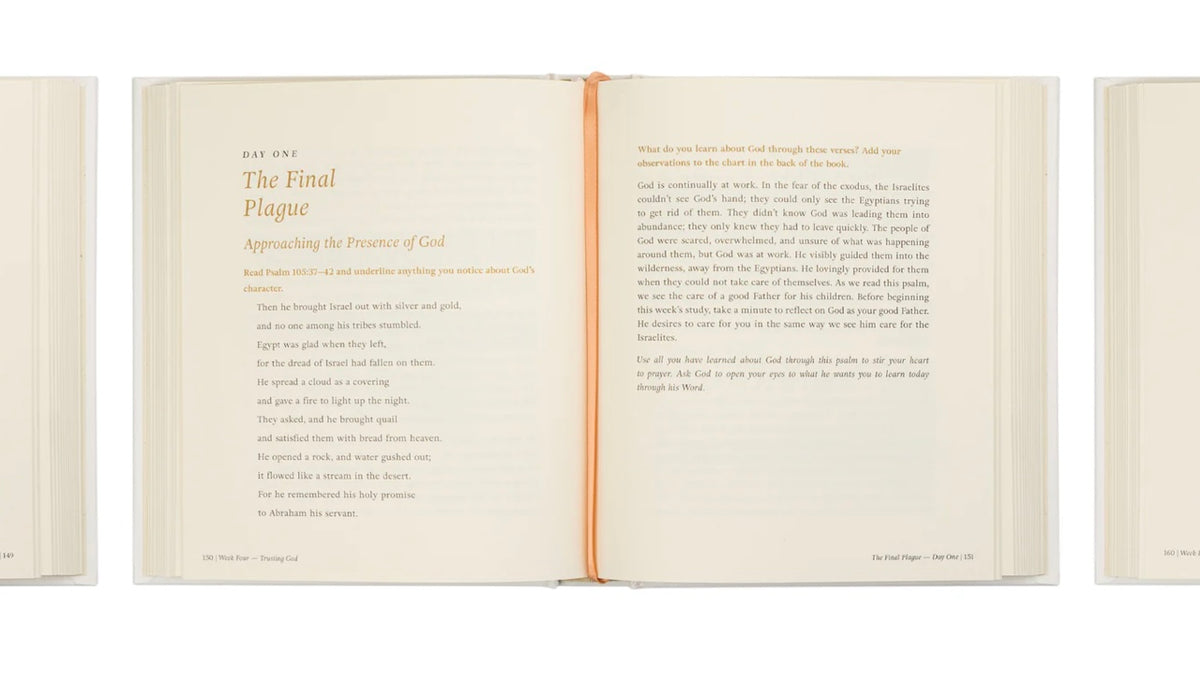 Beyond Egypt by Kari Minter - Bible Study image 4