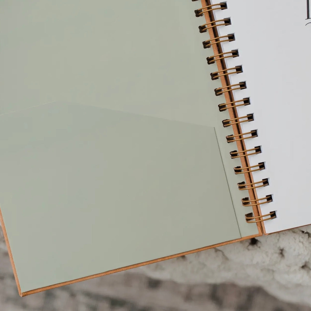 In the Word - Study Journal