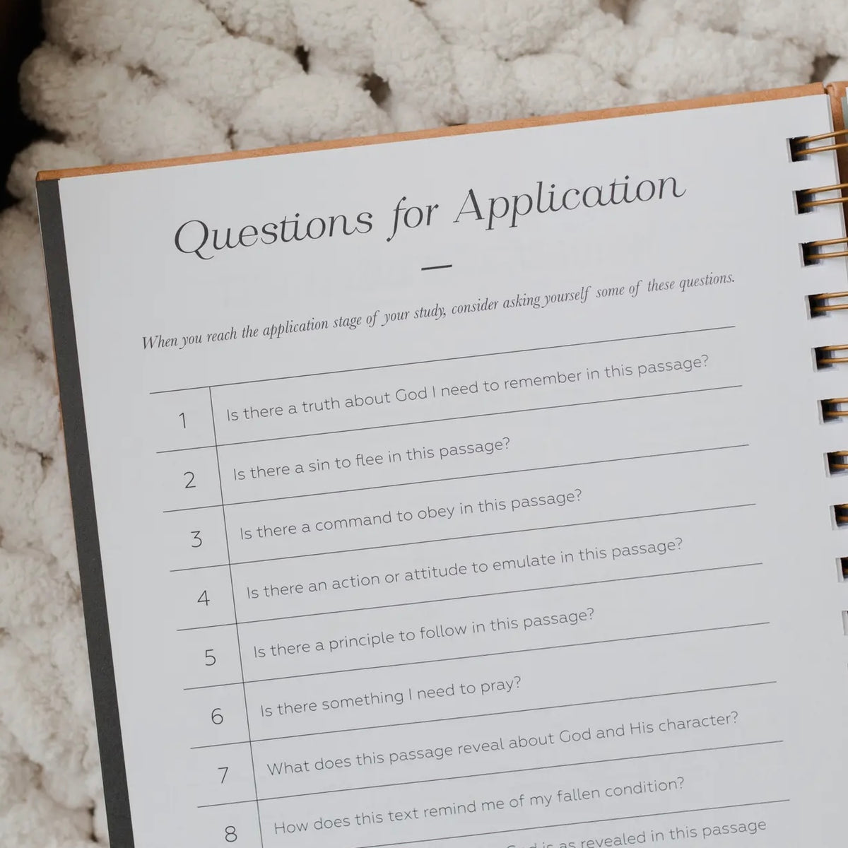 In the Word - Study Journal