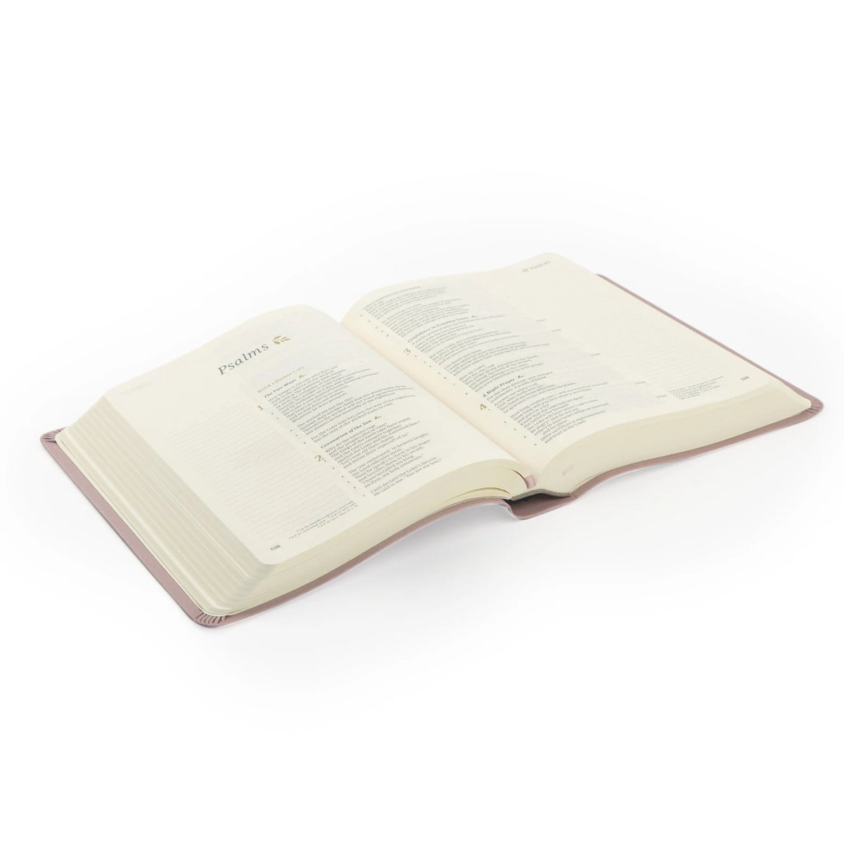 CSB Notetaking Bible - Mauves