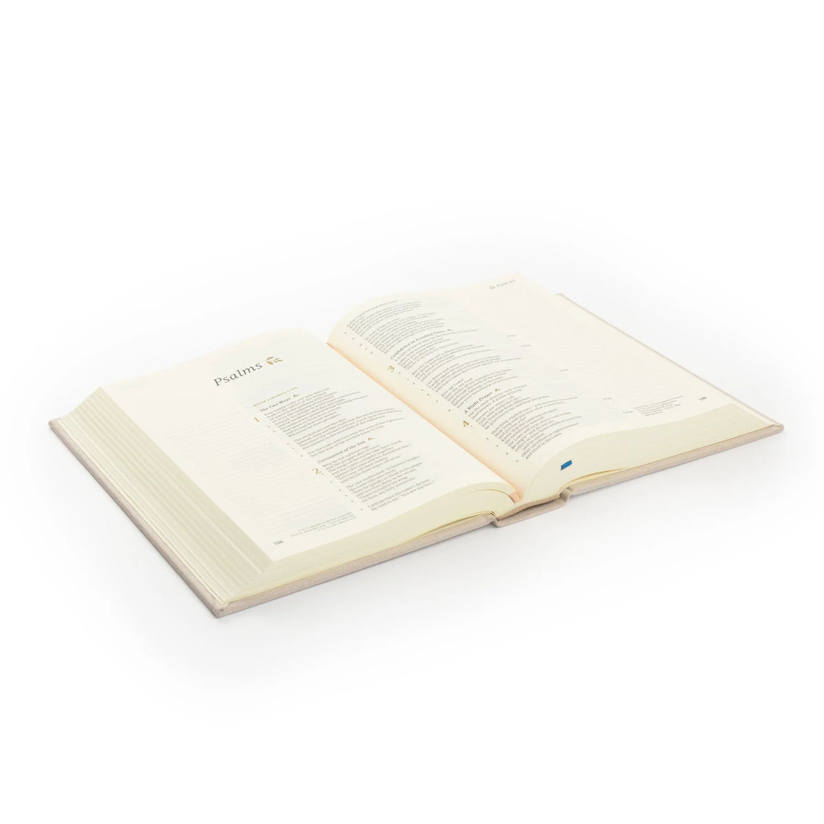 CSB Notetaking Bible - Oxford
