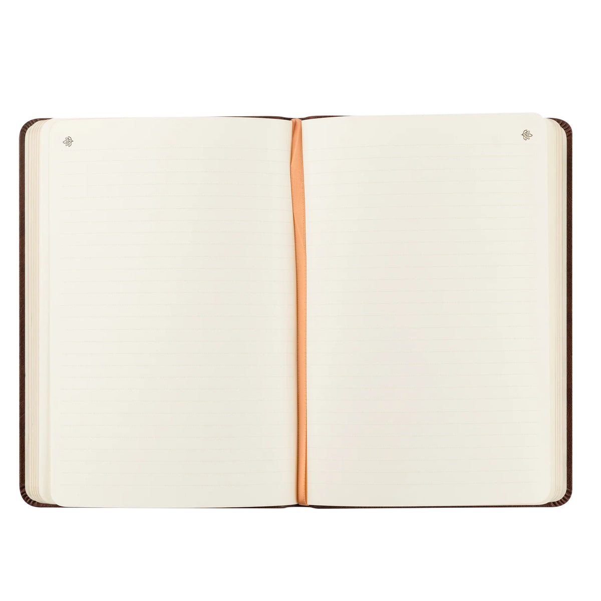 Notebook - Palma
