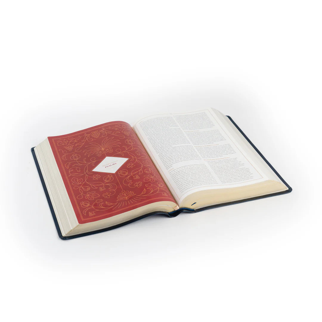 CSB Study Bible - Versailles