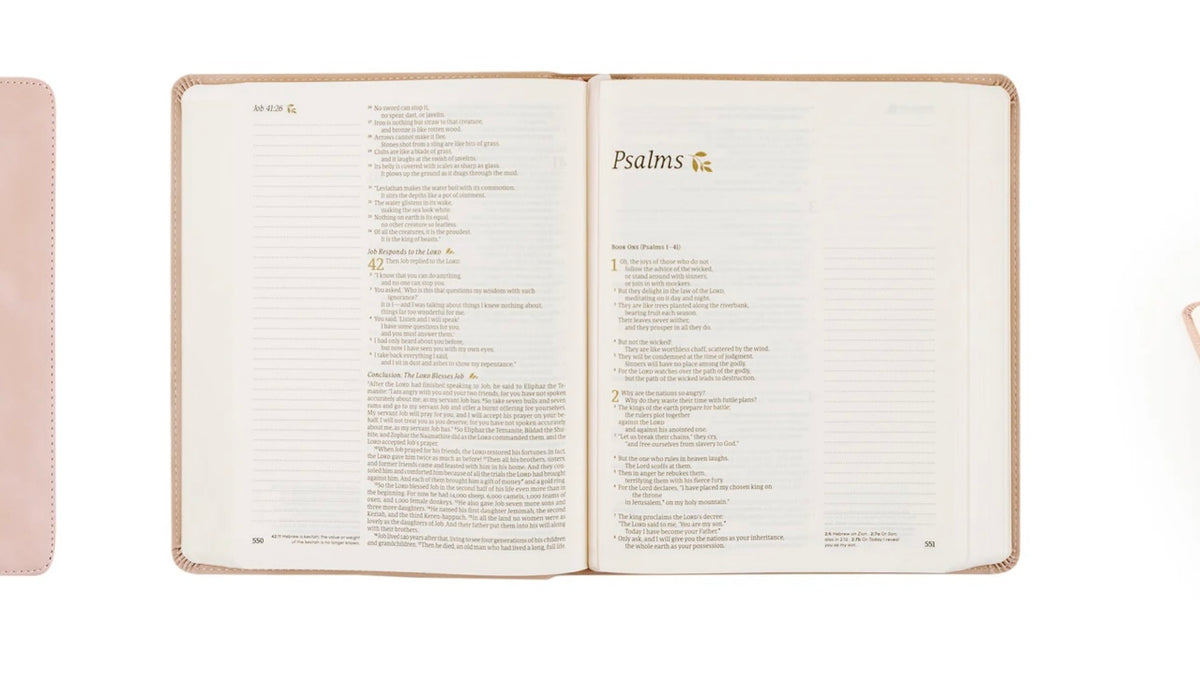 NLT Notetaking Bible - Shiloh image 3