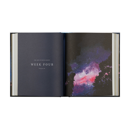 Wonder by Alicia Hamilton - Bible Study