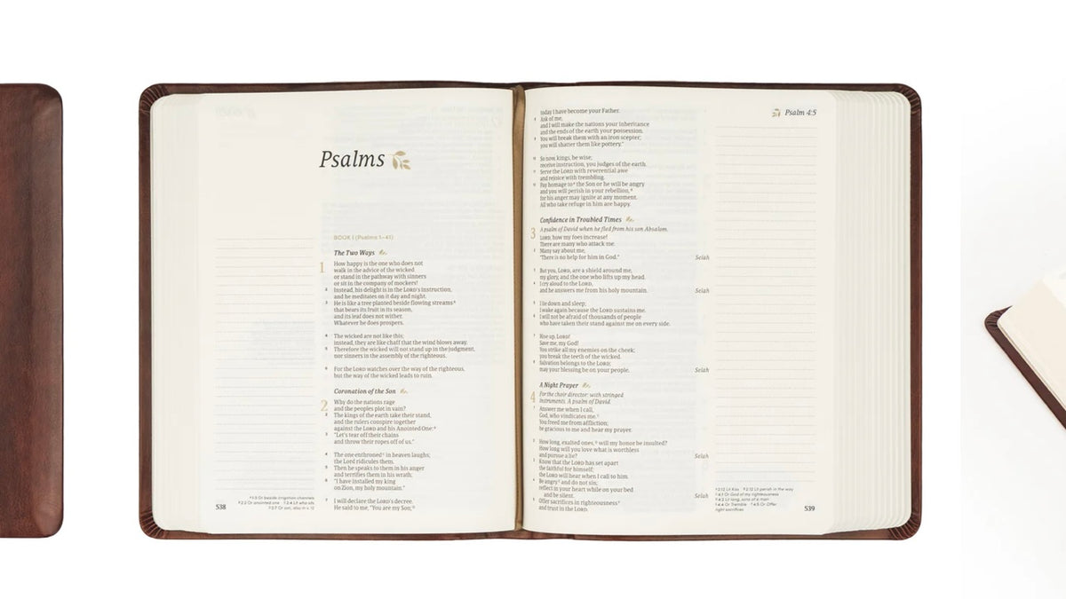 CSB Notetaking Bible - Anchorage image 4