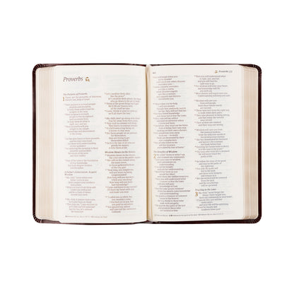 NLT Compact Bible - Yorkshire