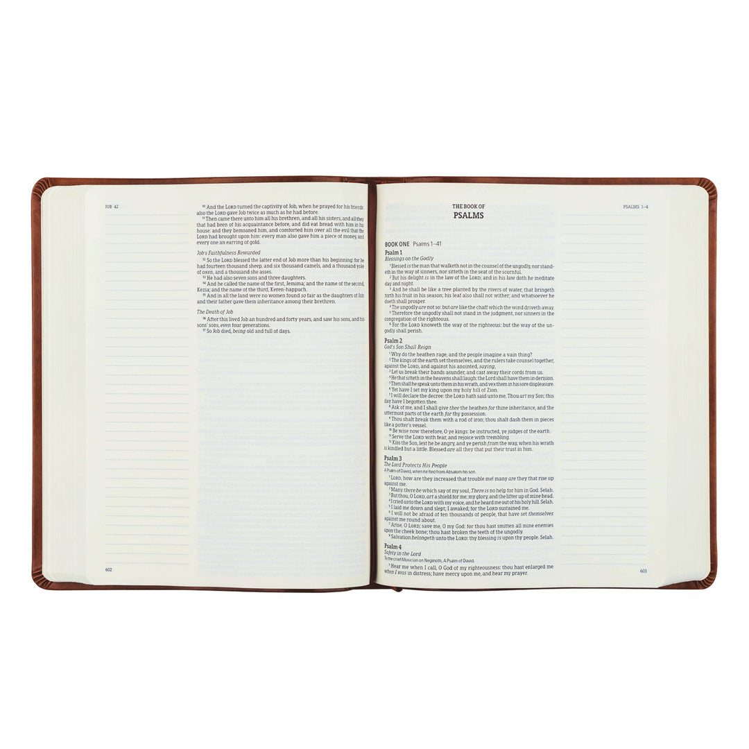 KJV Large Print Notetaking Bible: Vienna