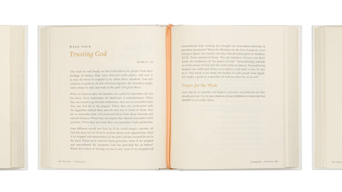 Beyond Egypt by Kari Minter - Bible Study image 3