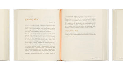 Beyond Egypt by Kari Minter - Bible Study image 3