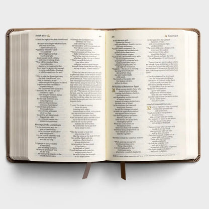 NLT Compact Bible - Marlo image 3