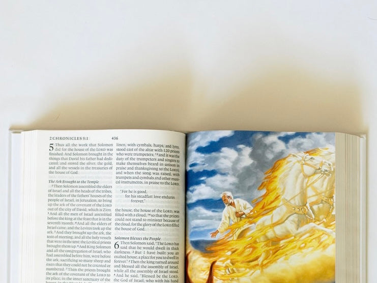 Holy Bible for Kids - ESV image 3
