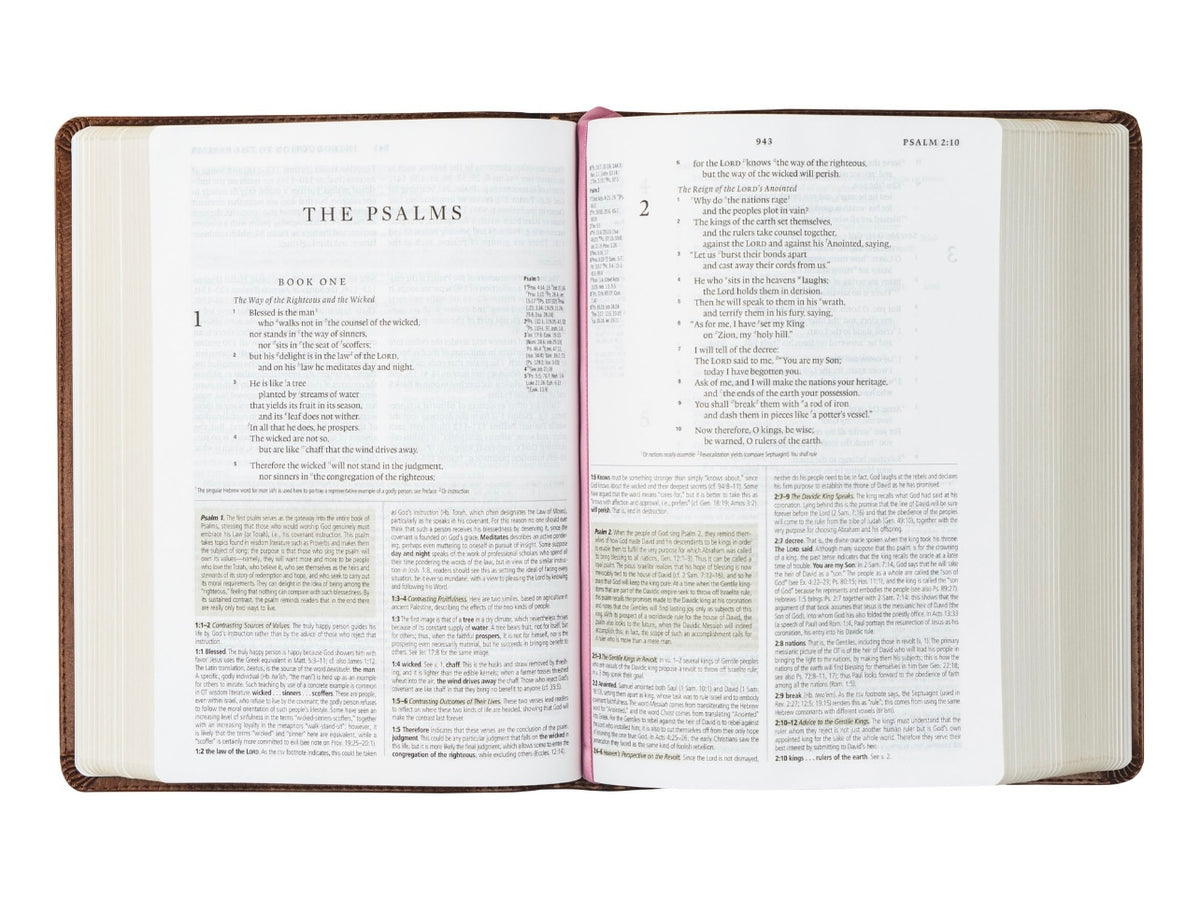 ESV Study Bible - Aurora image 4