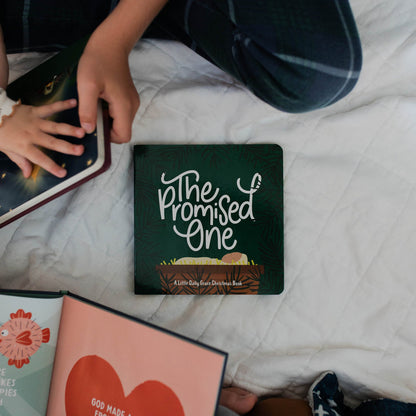 The Promised One - Board Book