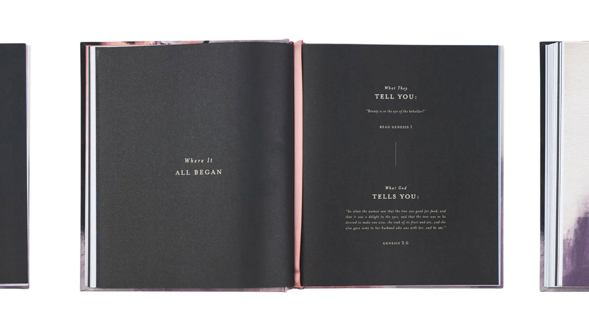Beauty Not Beheld by Paige Stitt McBride - Bible Study image 3