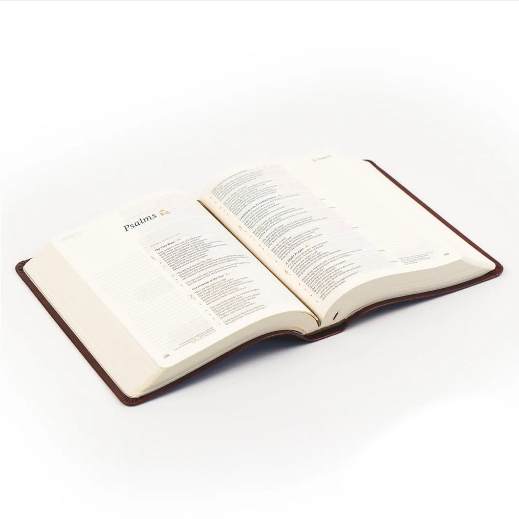 CSB Notetaking Bible - Anchorage image 5