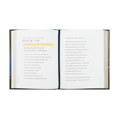 Wonder by Alicia Hamilton - Bible Study
