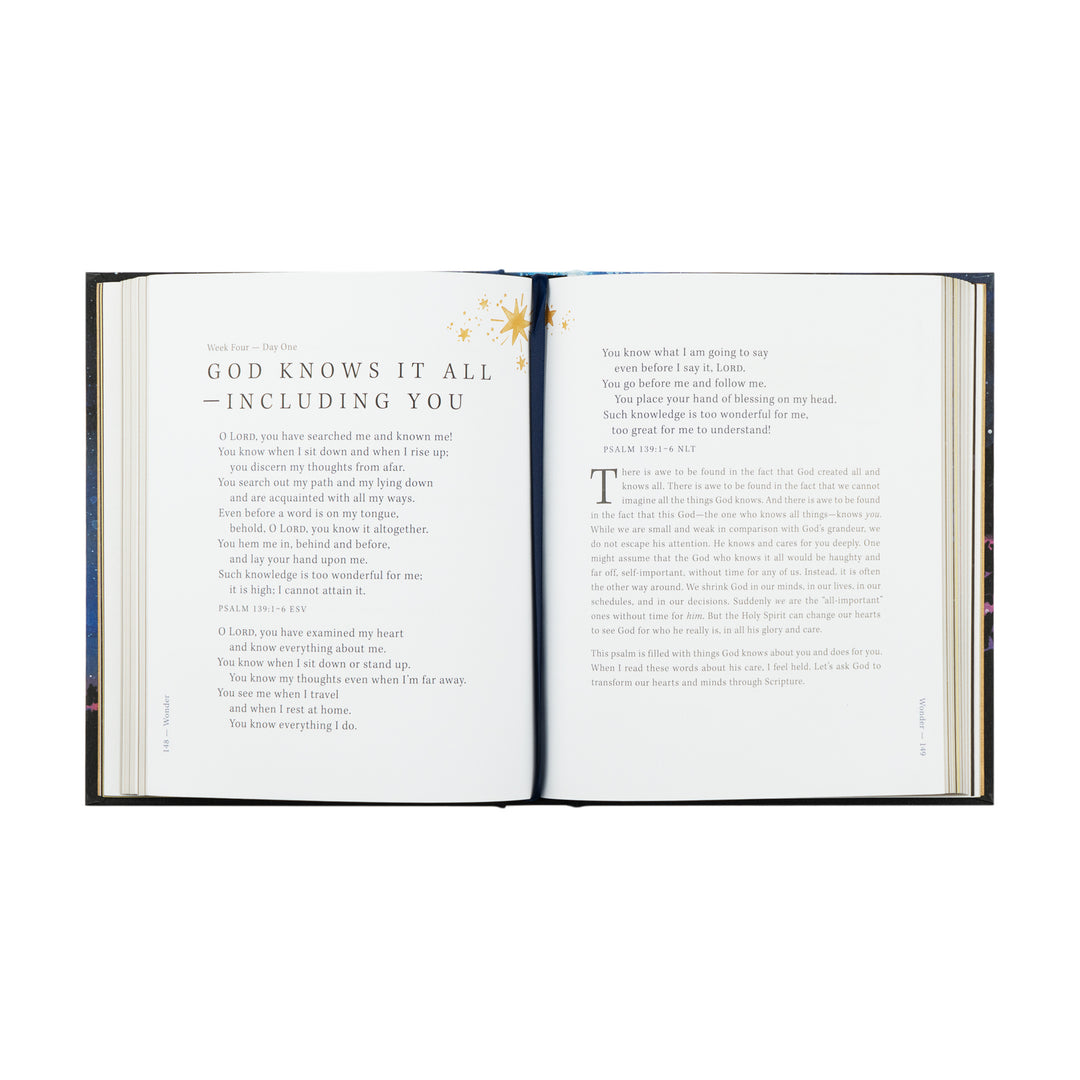 Wonder by Alicia Hamilton - Bible Study