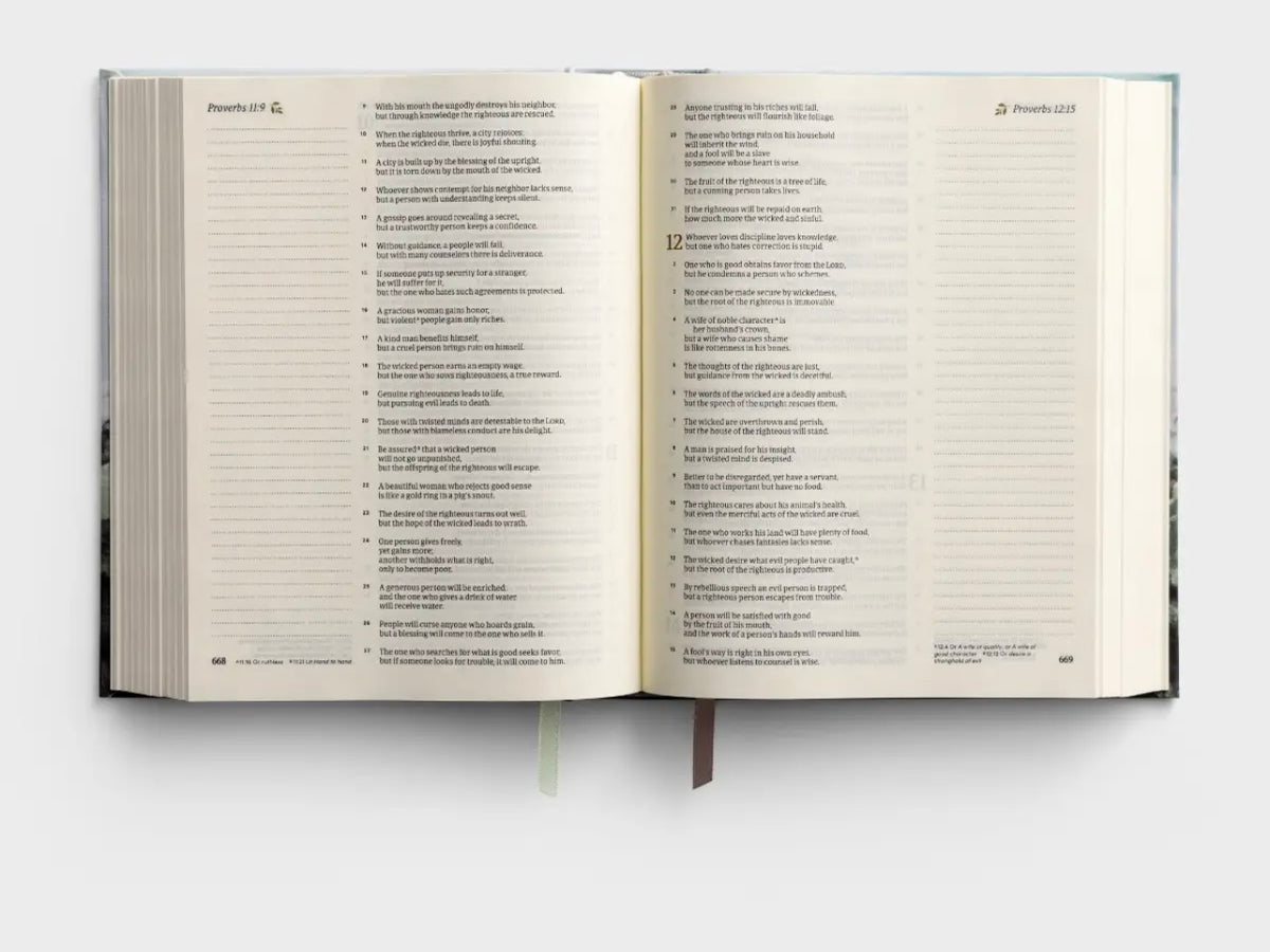 CSB Notetaking Bible - Dublin image 3