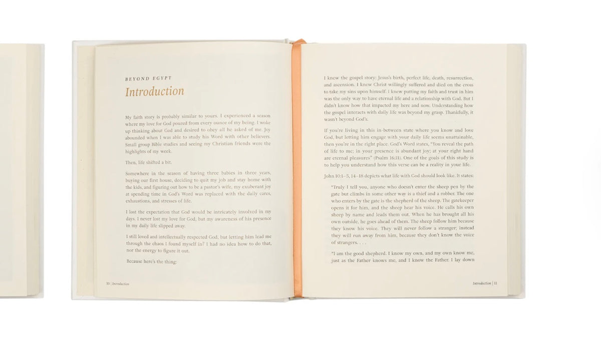 Beyond Egypt by Kari Minter - Bible Study image 9