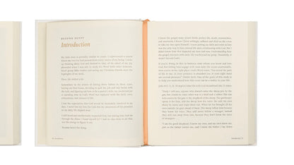 Beyond Egypt by Kari Minter - Bible Study image 9