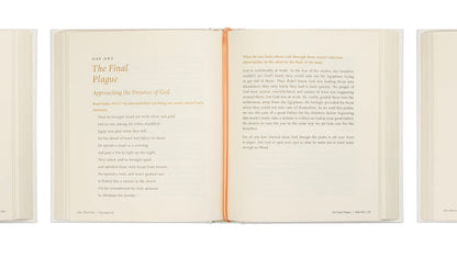 Beyond Egypt by Kari Minter - Bible Study image 4
