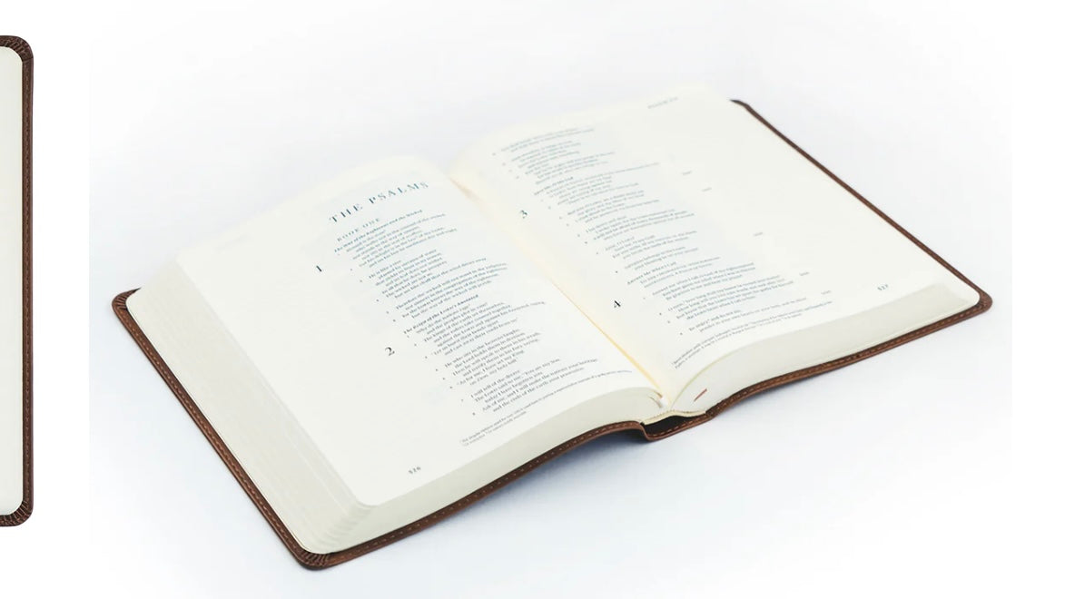 ESV Journaling Bible - Westminster image 5
