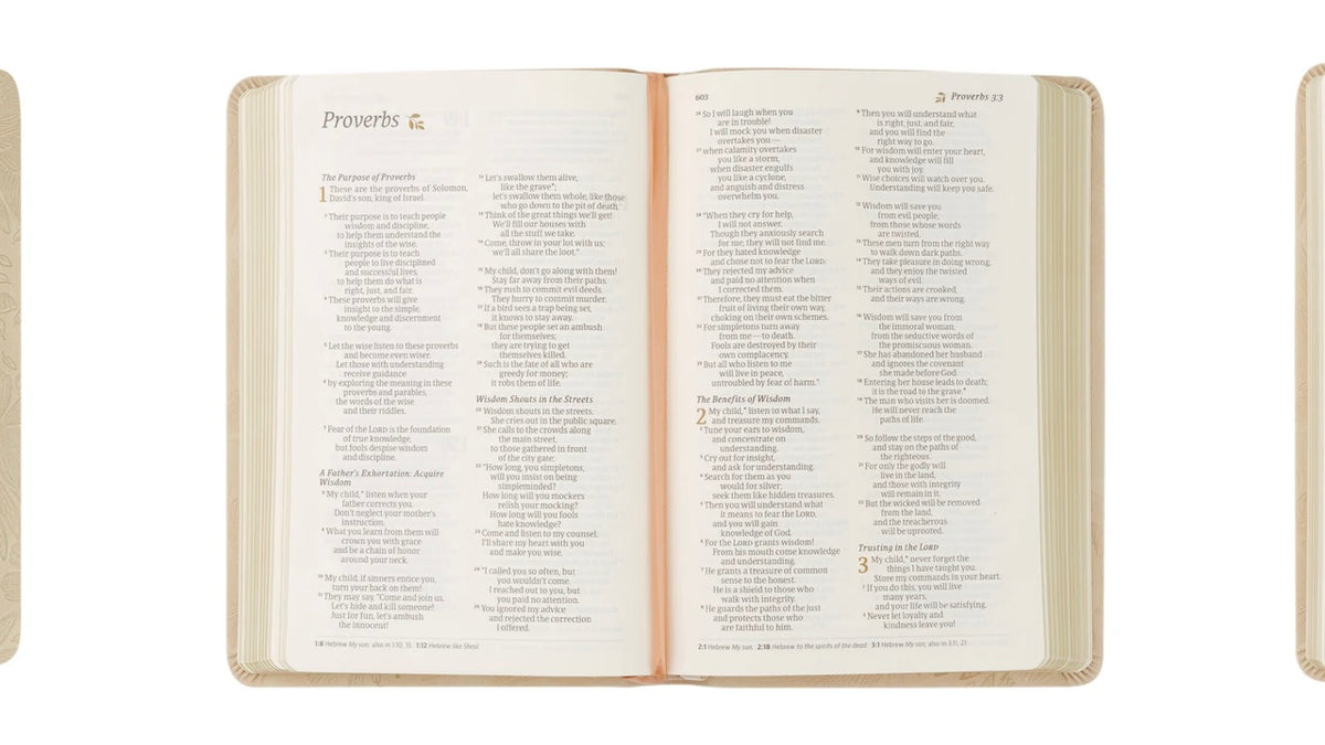 NLT Compact Bible - Sonora image 3