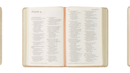 NLT Compact Bible - Sonora image 3