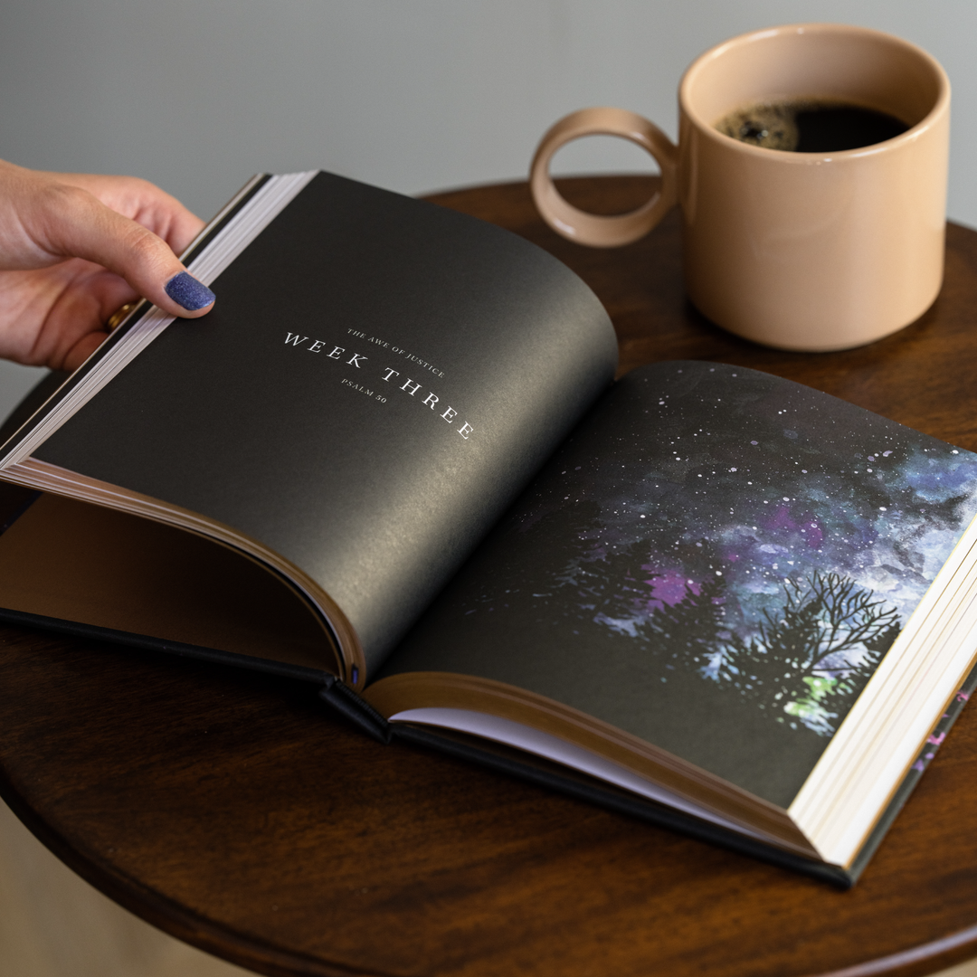 Wonder by Alicia Hamilton - Bible Study