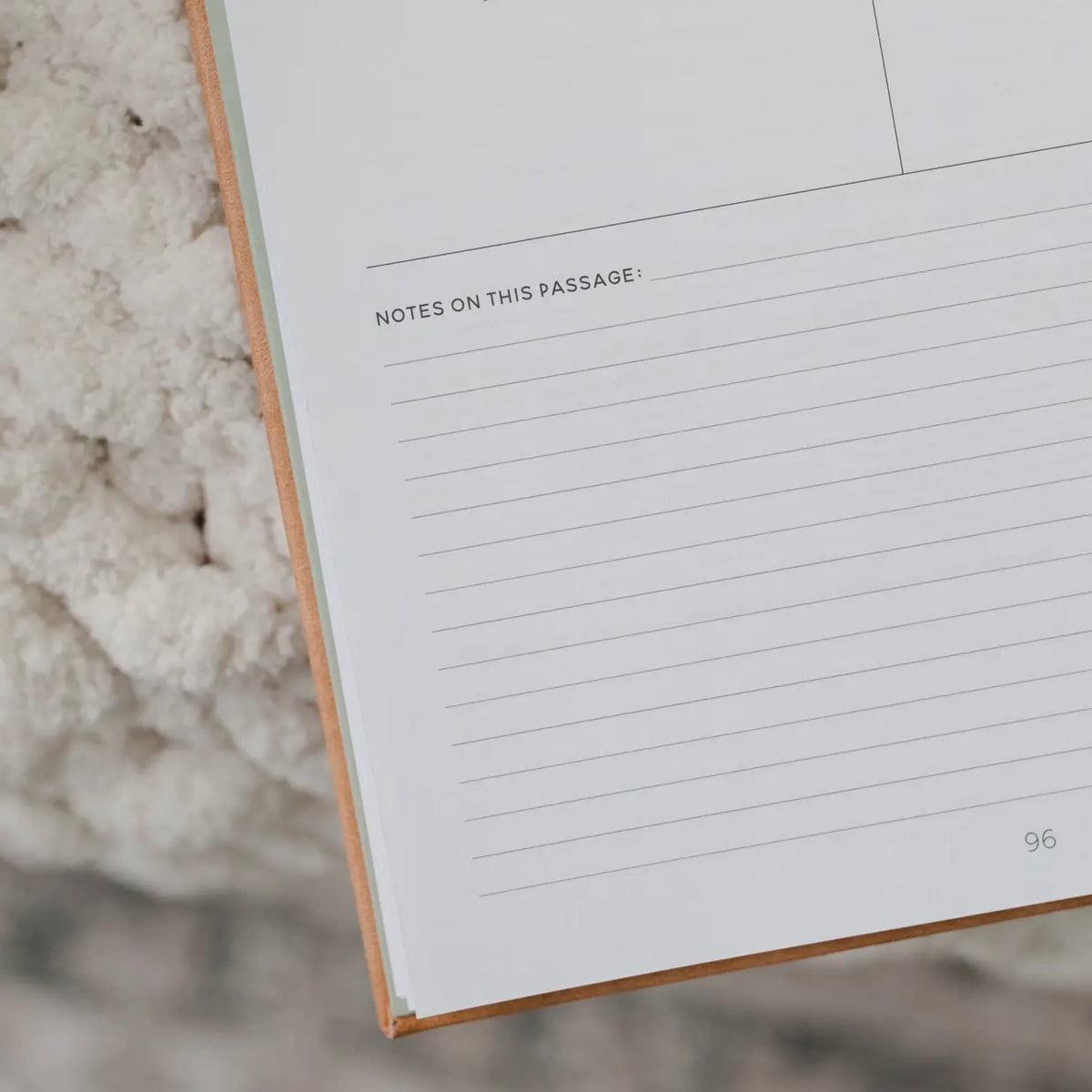 In the Word - Study Journal