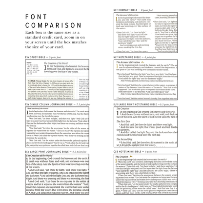 KJV Large Print Notetaking Bible: Vienna