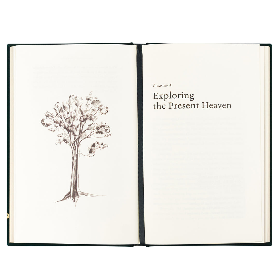Heaven & Earth by Jordan Moody - Bible Study
