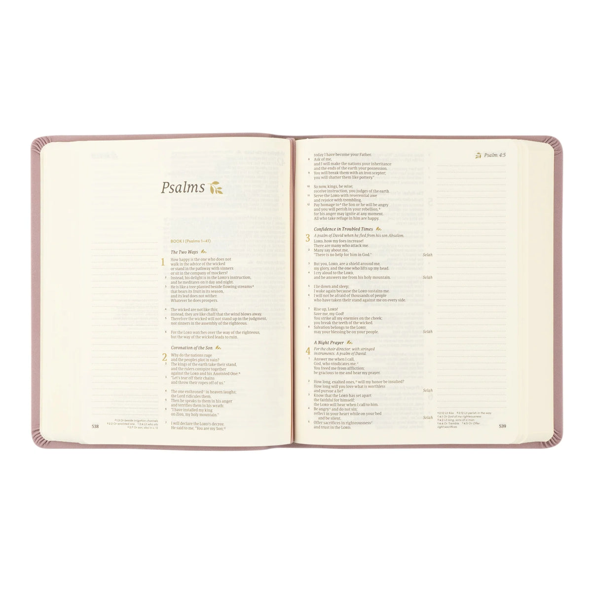 CSB Notetaking Bible - Mauves