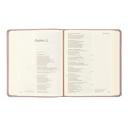 CSB Notetaking Bible - Mauves
