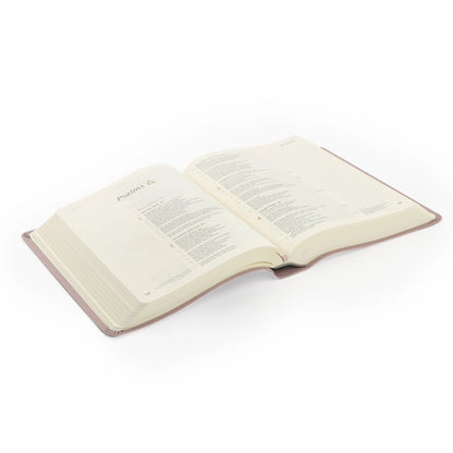 CSB Notetaking Bible - Mauves