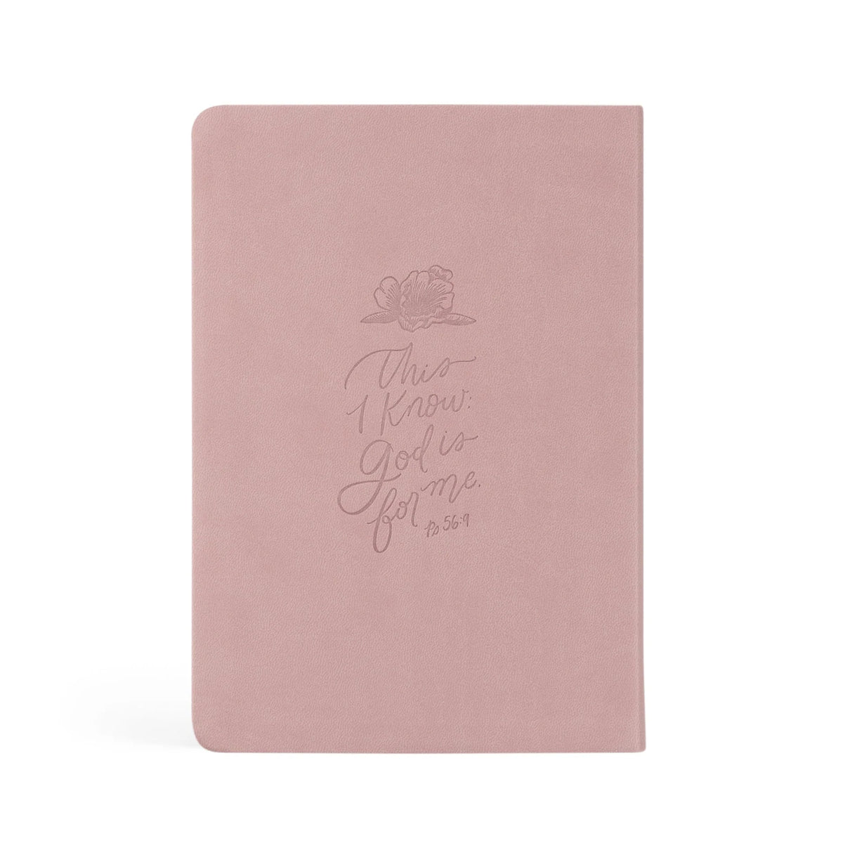 Notebook - Mauves