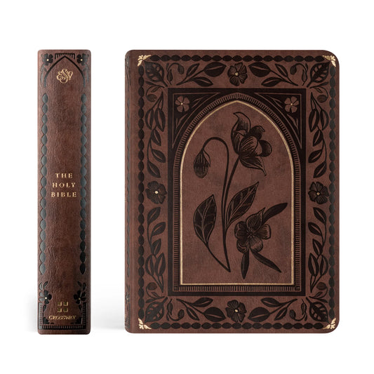 ESV Journaling Bible - Palma