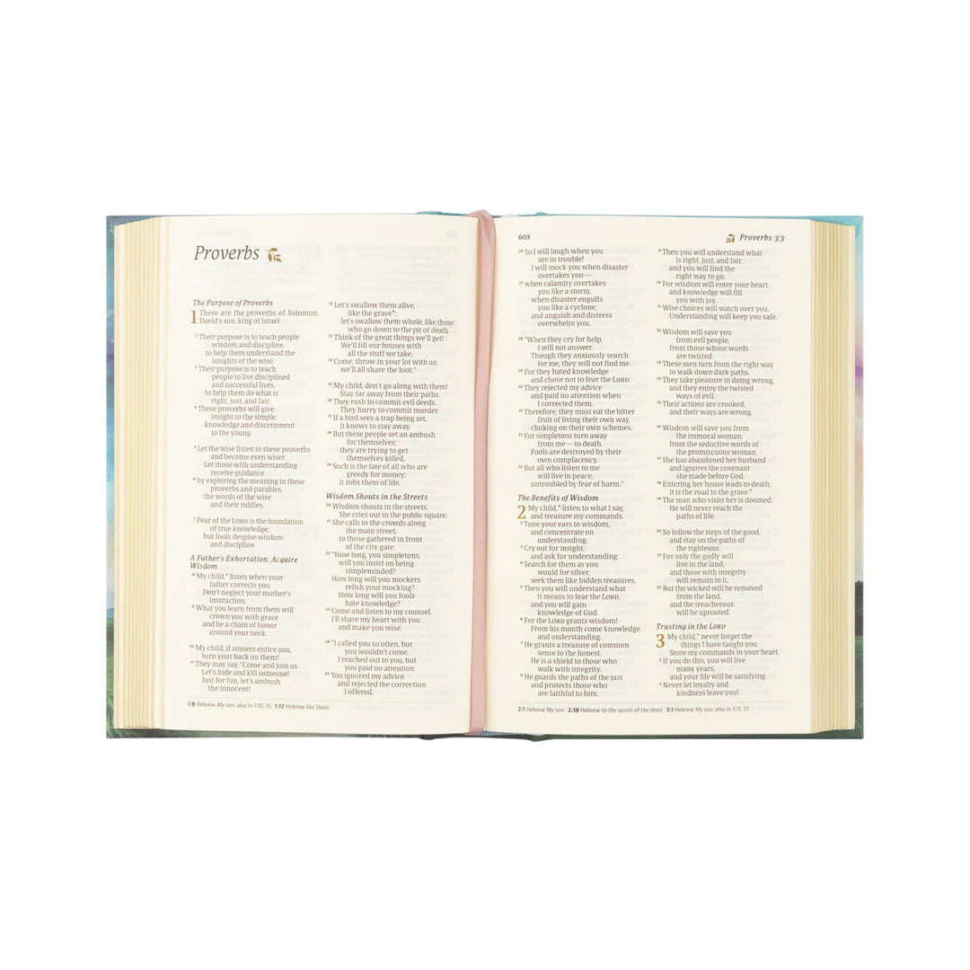 NLT Compact Bible - Prairie