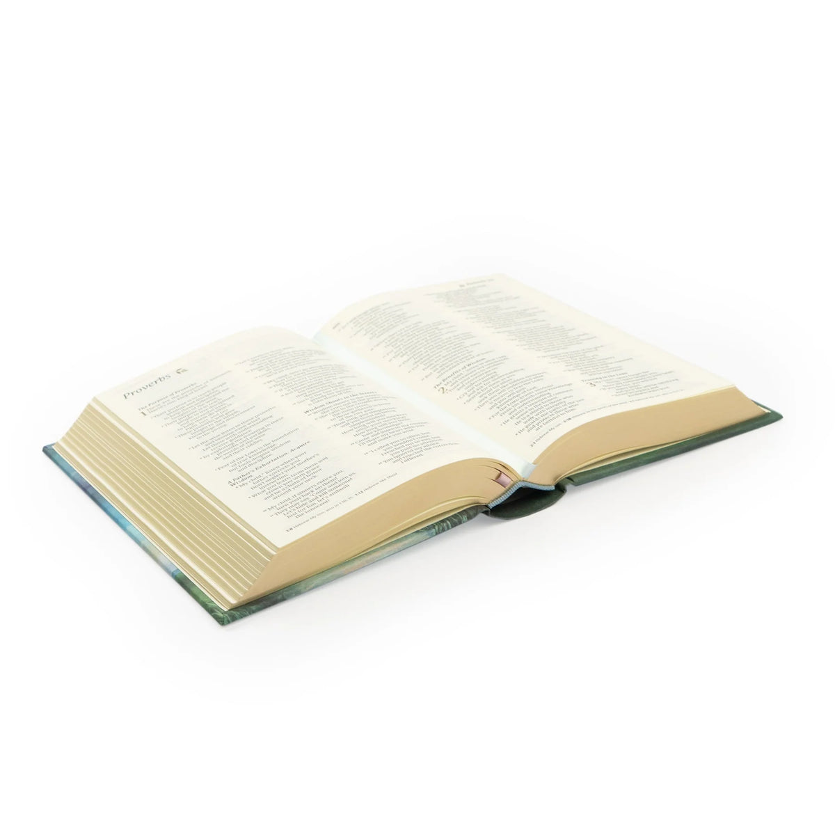 NLT Compact Bible - Prairie