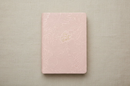 CSB Study Bible - Sonora