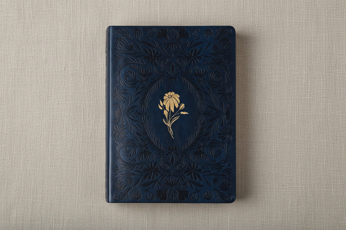 CSB Study Bible - Versailles