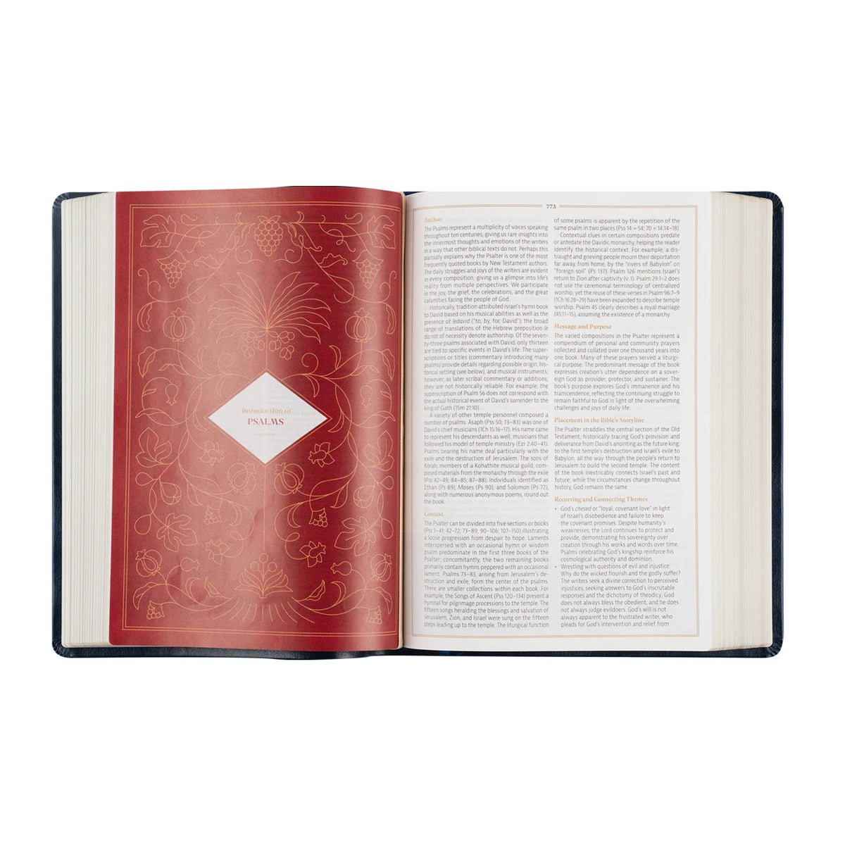 CSB Study Bible - Versailles
