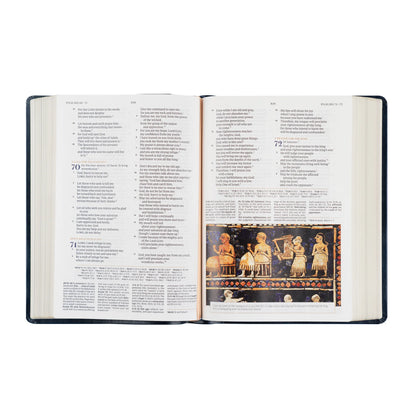 CSB Study Bible - Versailles
