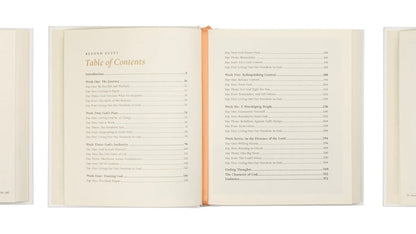 Beyond Egypt by Kari Minter - Bible Study image 8